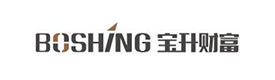 陕西宝升信息咨询有限公司