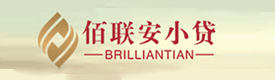 成都新津佰联安小额贷款有限公司