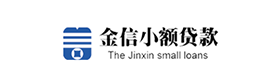 营山县金信小额贷款有限公司