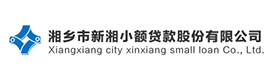 湘乡市新湘小额贷款有限公司