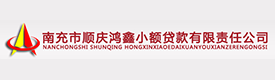 南充市顺庆鸿鑫小额贷款有限责任公司