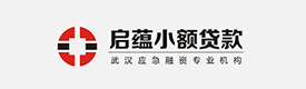 湖北武汉启蕴小额贷款有限公司