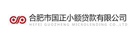 合肥市国正小额贷款公司