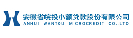 安徽省皖投小额贷款股份有限公司