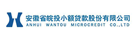 安徽省皖投小额贷款股份有限公司