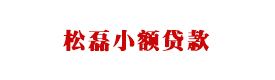 施甸县松磊小额贷款有限公司