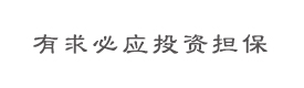 湖南有求必应投资担保有限公司