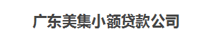 广东美集小额贷款公司