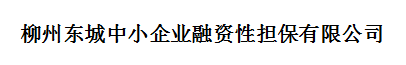 柳州东城中小企业融资性担保有限公司