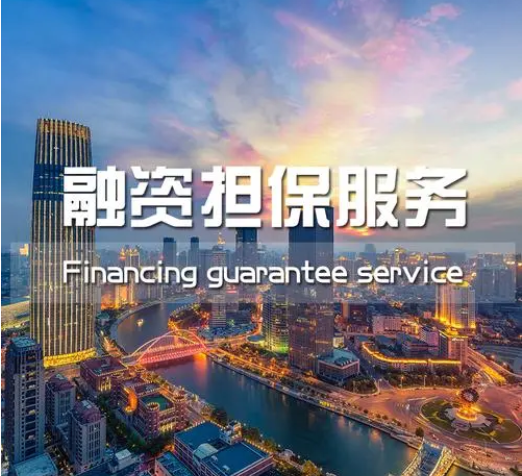 在中国特色金融发展道路上构建融资担保新格局