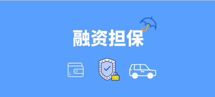 融资担保软件哪家好？